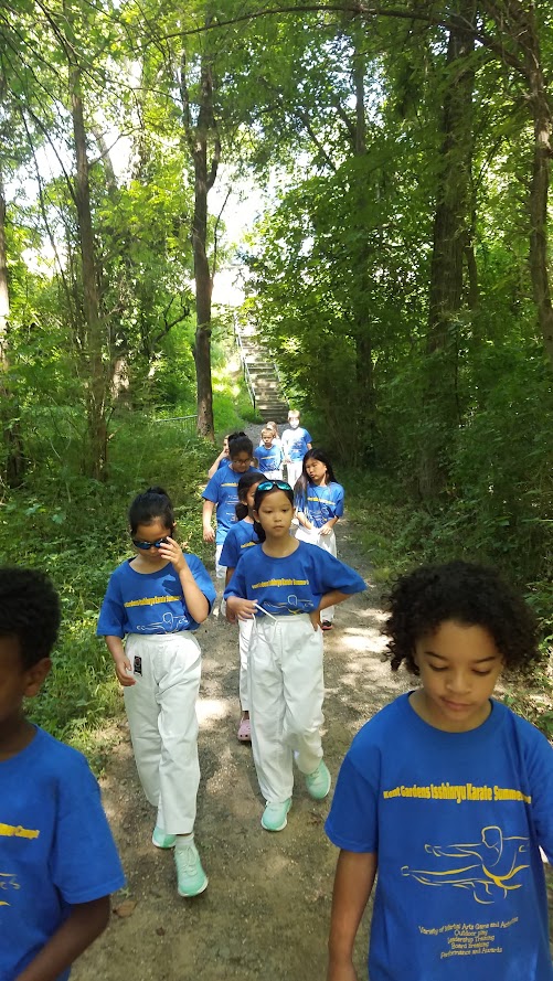 Kids walking down forest trail