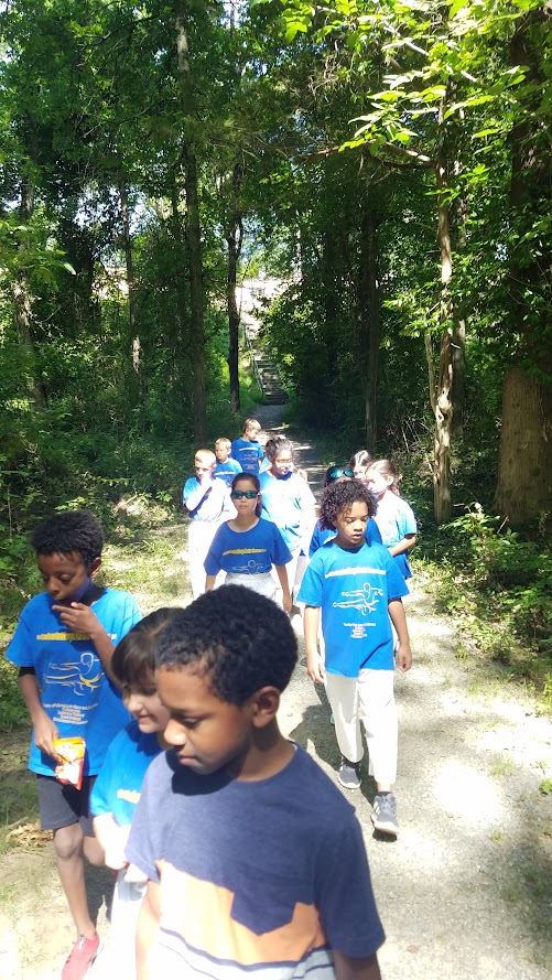 Group hiking through shaded forest path